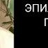 МУЖ СТРАДАЕТ ВСПЫШКАМИ ГНЕВА МОЖЕТ НАПАСТЬ ЗЛОБЕН НЕПРЕДСКАЗУЕМ АГРЕССИВЕН Екатерина Эрлих