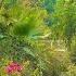 Walk In Barari Jungle In Dubai Restaurants Relaxing Area Forest Of Al Barari With Best Food