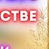 О замужестве Молитва Ксении Петербургской