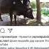 Сабринаи Назри