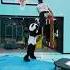 Panda Got Absolutely POSTERIZED