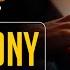 Symphony Zara Larsson Piano Playback For Cover Karaoke