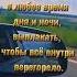 цитаты про жизнь красивое видео статус в инстаграм