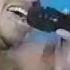 Chico Debarge Give You What You Want