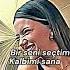 Kalbimi Ben Sana Verdim