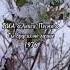 Ты других не лучше ВИА Лейся песня солист Владислав Андрианов 1976 Song Music Nature природа