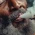 THE GREATEST DUB REGGAE MIX 2025 CRAZIEST GANJA SOUNDWAVE EP 19