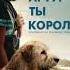 Топ 5 фильмов с высоким рейтингом 2024 года