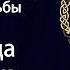 Сила рода Влияние 7 поколений предков на судьбы потомков