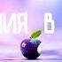 Как скачать дополнительные материалы в Sims 2
