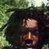 Peter Tosh Legalize It