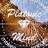 Tomas Barford Ft Nina K Pulsing David August Remix