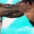 Damian Priest S CHAOTIC Brawl With Drew McIntyre SmackDown Highlights May 23 2025