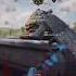 Defending The Hardpoint In Call Of Duty Ranked Play Warzone Callofduty Gaming Cod Foryou Fyp