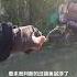 野河扁鱼狂拉 路亚 路亚新手入门教程 2024dou来钓鱼 微物路亚 原来钓鱼才是抖音运动顶流