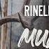 Steve S Greatest Mule Deer Hunts Rinella S Field Notes