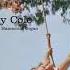 Buddy Cole Have Organ Will Swing 1958 Easy Listening Space Age
