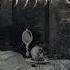 Noctem The Black Consecration Full Album 2019