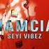 Seyi Vibez Apala Interlude Official Audio