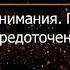 Брюс Алан Уоллес Глава 13 Революция внимания Пробуждение силы сосредоточенного ума