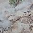 Mother In Law S Attack On Hajar S Last Refuge