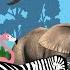 ABC Zoo Animal Sounds Song And More 30TH525 Safari Animal Sounds Nursery Rhymes For Toddlers