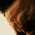 The Weeknd Cry For Me