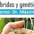 PLANTAS NATIVAS HIBRIDAS Y TRANSGENICOS