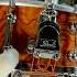 Pearl Philharmonic Snare In Bubinga Finish