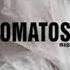 Skillet Comatose На Русском