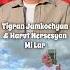 Tigran Jamkochyan Harut Nersesyan Mi Lar Cover AMB Remix Tigranjamkochyan Harutnersesyan