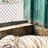 LIGER AGAYA WHITE TIGER LE AE HUM ZOO ME