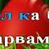 Крашанка муз і сл Вячеслава Кукоби караоке плюс