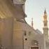 Madina Roza E Rasool Mubarak Sunheri Jali Ki Ziyarat Viral Madina Youtubeshorts Duet