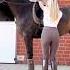 Big Boy How Tall Is Your Horse Equestrian Horse Short