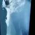 VIMIN Beauty Of Underwater Shorts Kpop Bts Vimin