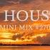 TECH HOUSE MIX Mini Mix 270 Mixed By P TEK