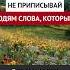 Не приписывай людям слова которые Динар абу Идрис ислам факты истина вера коран аллах рай
