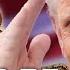 Trump Should Be Impeached For Profiteering From The Presidency Irwin Stelzer