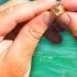 Finding A VERY Special Gold Ring While Metal Detecting