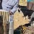 Building A New Shelter After Migration By The Fariba S Family