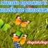 Влюбитесь заново в жену