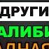 Откровенное признание в кафе Тайна подруги Ложное алиби Беспощадная месть мужа