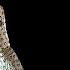 Andres Sarda Fall Winter 2023 2024 Full Show