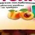 Sped Up Slowed Фитолакс Эвалар ТикТок мем