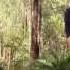 Nature Play WA Introduction To Camping Ep 2 Campfires