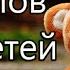 100 слов для детей 1 3 года Развивающие мультики для детей