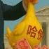 美国法官叫停政府禁止哈佛招收留学生 哈佛得救了 然 而 并 没有什么 卵 用 真正客观中立的华裔 不会在这件事上完全站在哈佛那边