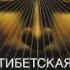 Тендзин Ринпоче Тибетская йога сна и сновидений