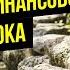 МЕДИТАЦИЯ Настройтесь на частоту финансового изобилия и богатства